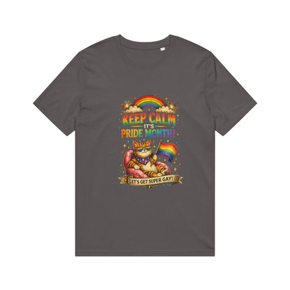 Pride Cat T‑Shirt — "Keep Calm Pride Month!" Rainbow Graphic Tee