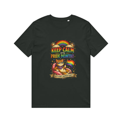 Pride Cat T‑Shirt — "Keep Calm Pride Month!" Rainbow Graphic Tee